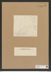 Diatomeae indet. Zeichnungen Sammlung Grunow Nr. 7590 (NHMW-BOT-W0376750)